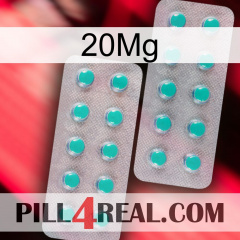 20Mg 29